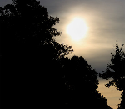 hazy morning