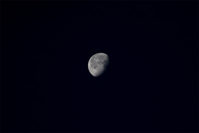 morning moon