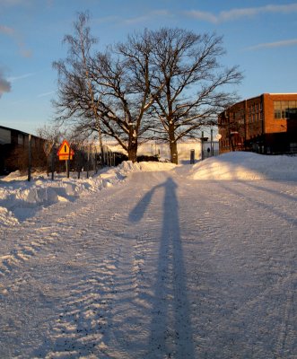 I'm the undisputed winner in the Longest Shadow of Yourself contest! 