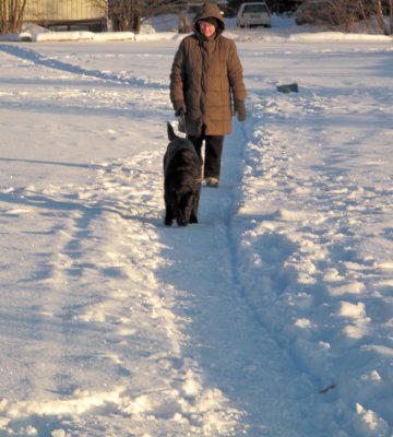 tracking dog