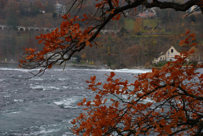 Rhine Falls 8.jpg