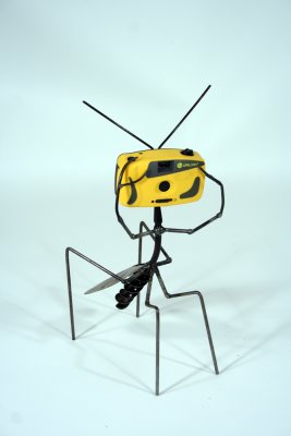 yellow shutterbug