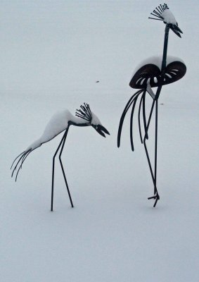 birds in the snow