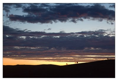 Flinders' Ranges near dawn