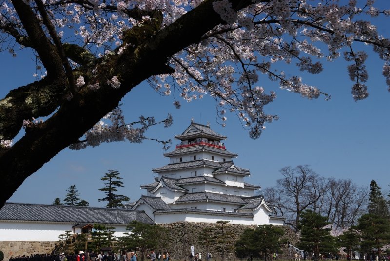 Tsuruga_jo park, Aizu