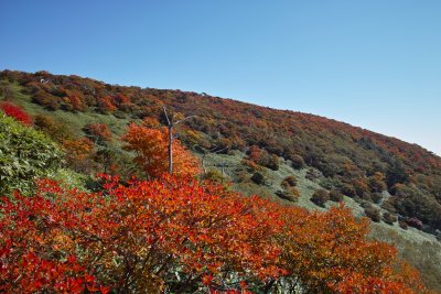 Nasu near Hinodedaira, Tochigi