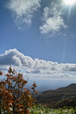 NakanoOhkuraOne Nasu Tochigi