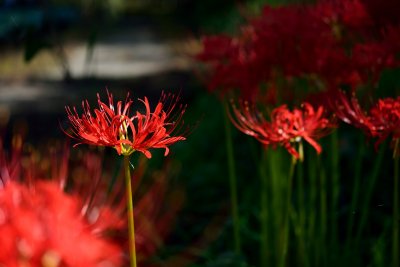 20120929_028w.jpg