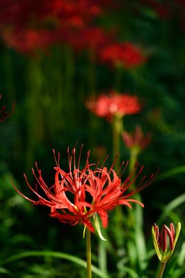 20120929_030w.jpg