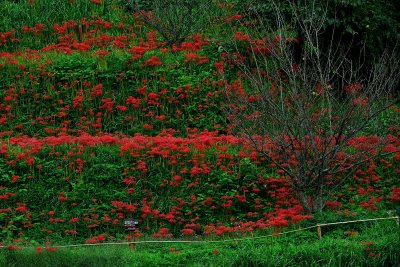 20121006_004w.jpg