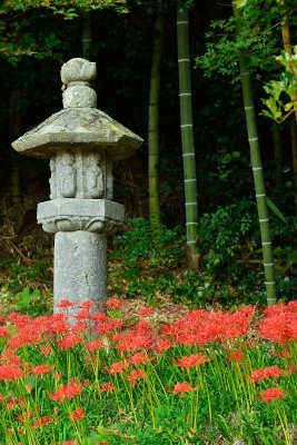 20121006_074w.jpg