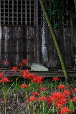 20121006_076w.jpg