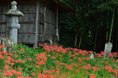 20121006_083w.jpg