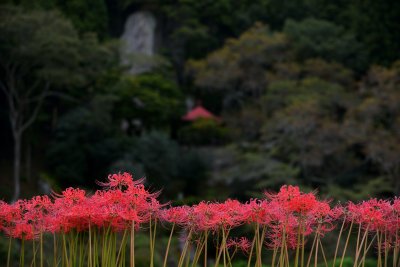 20121006_095w.jpg