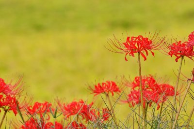 20121006_120w.jpg