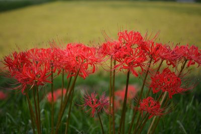 20121006_133w.jpg
