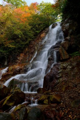 20121014_140w.jpg