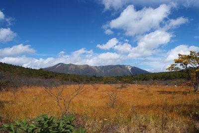 Numappara bog, Nasu Tochigi