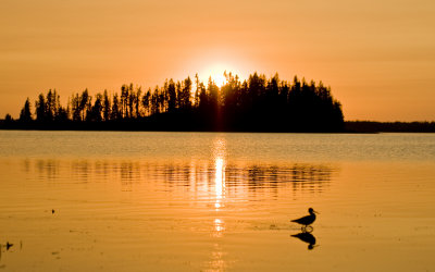 Astotin Lake in Elk Island National Park_DSC3380.jpg