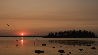 Astotin Lake in Elk Island National Park_DSC3413.jpg