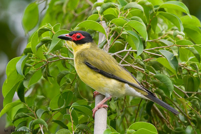 g1/84/837684/3/126768858.LKyNZyaq.jpg