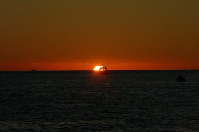 DSC_1448.JPG