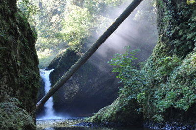Eagle Creek Trail - Columbia Gorge - Oregon 2008