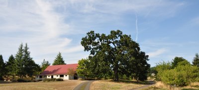 Picnic Barn