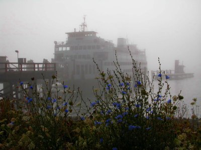 Washington Ferries