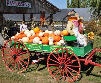 pumpkin wagon.jpg