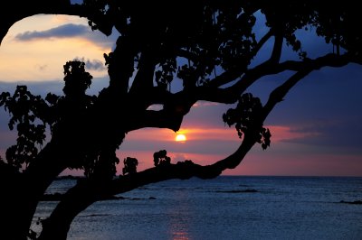 Mauna Lani Sunset II