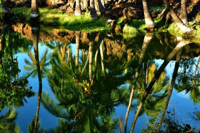 reflections III