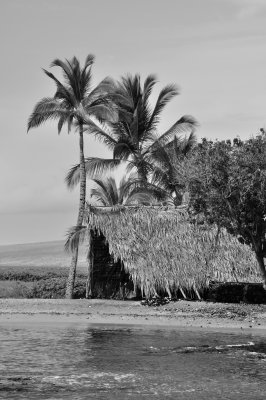 Canoe Hut