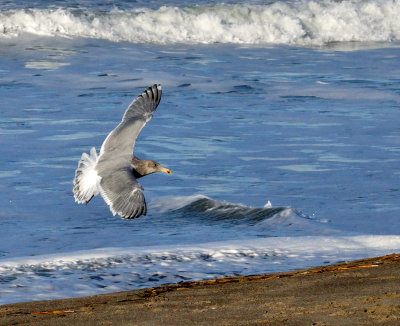 Coming in for a Landing