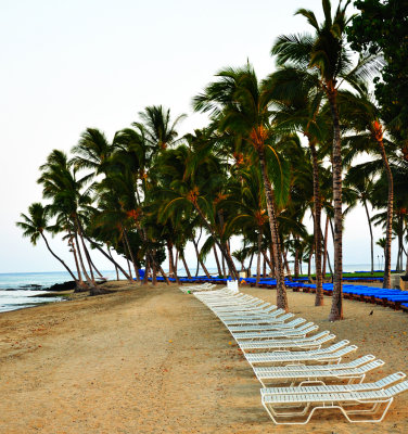 beach chairs