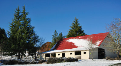 Walnut Park Barn