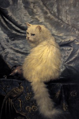 VIC (Very Important Cat)