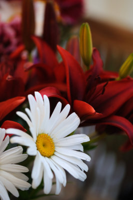 g1/84/876184/3/114402782.KXmbPNYq.jpg