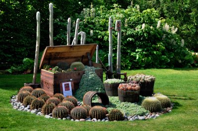 Tradgardsforenginen Succulents