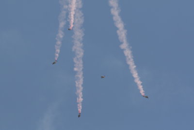 U.S. Army Golden Knights Parachute Team