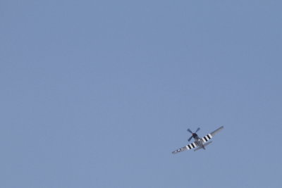 DPP_lg01148.JPG