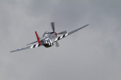 DPP_lg01153.JPG