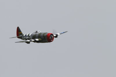 _MG_5960.JPG