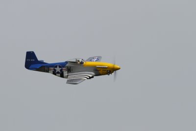 _MG_6116.JPG