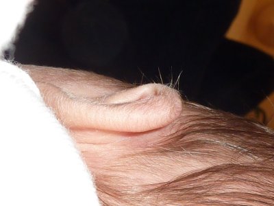 Hairy ears!! This photo WILL be brought out for her 18th!