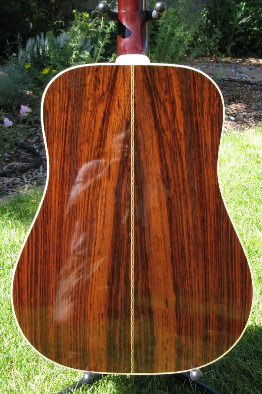 1976 D-50 in natural light...