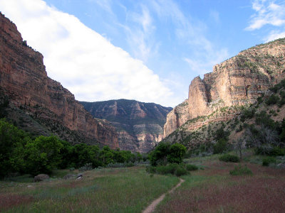 Along Jone's Hole trail...