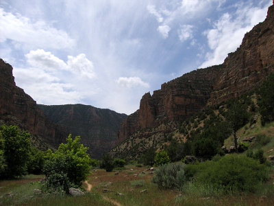 g1/85/132685/3/114079444.bvZa9ehv.jpg