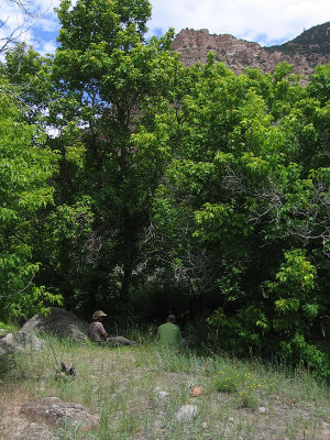 Lunch under the cottonwoods...