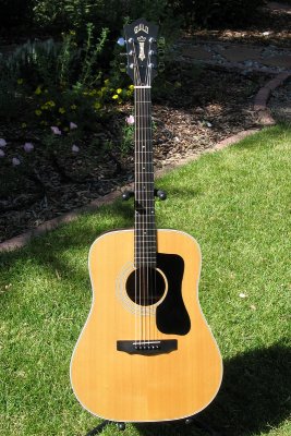1976 D-50 in natural light...